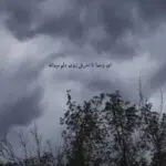 دانلود آهنگ من شدم دیوانه ای زخما تا آخرش روی دلم میمانه”ریمیکس ترند اینستا” از رضا کرمی تارا دانلود آهنگ من شدم دیوانه ای زخما تا آخرش روی دلم میمانه”ریمیکس ترند اینستا” از رضا کرمی تارا